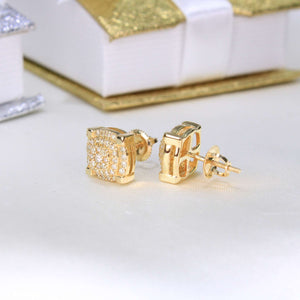 10K Yellow Gold Screw Back Diamond Earrings