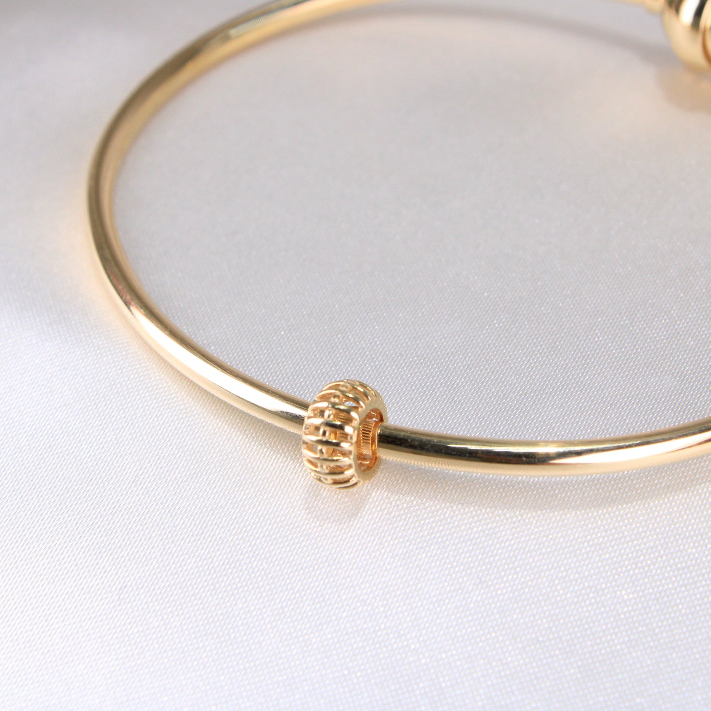 14K Yellow Gold Fringes Slider Charm